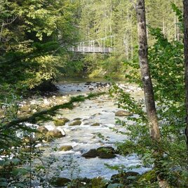 Das Wilde Koppental (mit Hängebrücke) | © Ausseerland