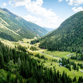 Eselsberger Alm Übersicht | © Tourismusverband Murau
