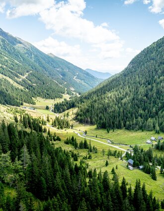 Eselsberger Alm Übersicht | Tom Lamm | © Tourismusverband Murau