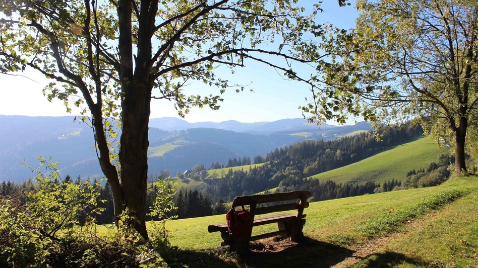 Wanderung Brandlucken-Anger über den Königskogel - Touren-Impression #2.3 | © Oststeiermark Tourismus