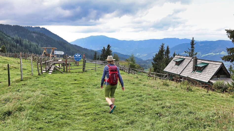 Wanderung Gipfelrundwanderweg Teichalm - Sommeralm - Touren-Impression #2.9 | © Oststeiermark Tourismus