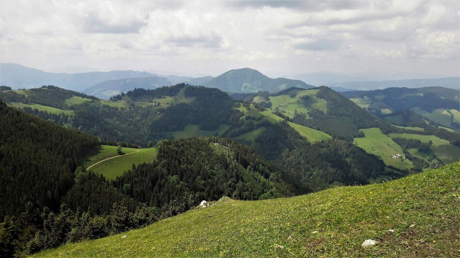 Wanderung Gipfelrundwanderweg Teichalm - Sommeralm - Touren-Impression #2.8 | © Oststeiermark Tourismus