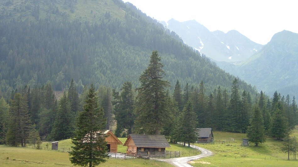 Wanderung Hölleralm - Himmlisches Platzerl 6 - Touren-Impression #2.3 | © Erlebnisregion Murtal