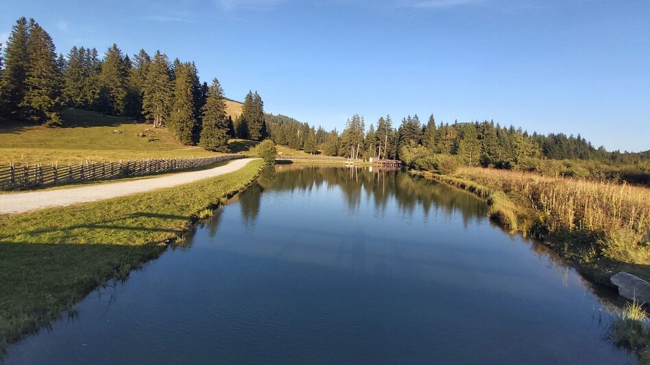 Cycling Ochsentour Teichalm - Sommeralm - Touren-Impression #2.2 | © TVB Oststeiermark
