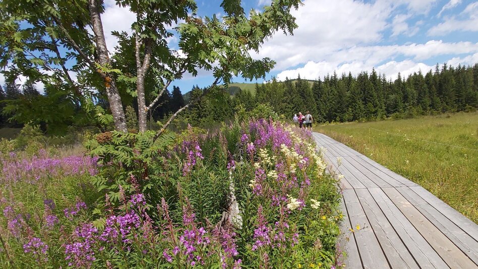 Cycling Ochsentour Teichalm - Sommeralm - Touren-Impression #2.3 | © TVB Oststeiermark