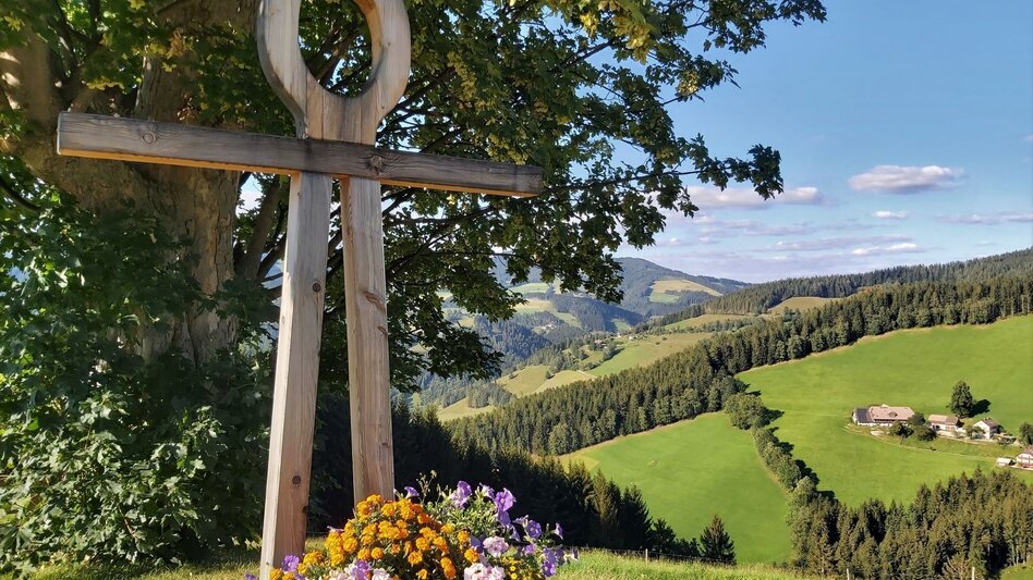 Cycling Ochsentour Teichalm - Sommeralm - Touren-Impression #2.11 | © TVB Oststeiermark