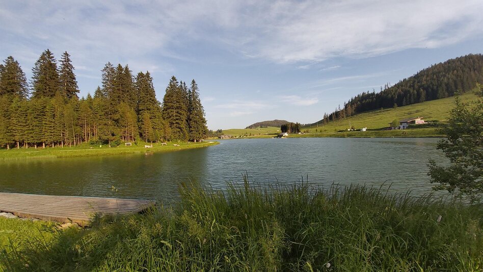 Cycling Ochsentour Teichalm - Sommeralm - Touren-Impression #2.18 | © Tourismusverband Oststeiermark
