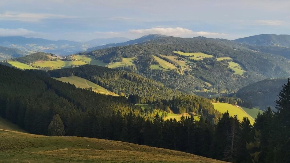Cycling Ochsentour Teichalm - Sommeralm - Touren-Impression #2.7 | © Oststeiermark Tourismus
