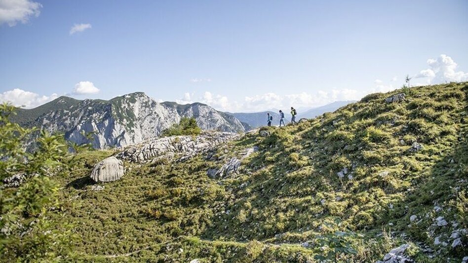 Trail Running Mountain tour on the Loser - Touren-Impression #2.7 | © Unbekannt