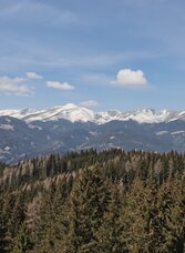 Wir genießen die Aussicht von den Türmen | © Weges OG | Weges OG | © Weges OG