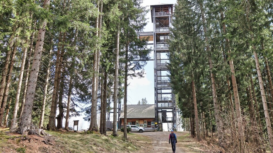 Hiking Route Tremmelberg "Tower in the Mountains" above Vorder-Tremmel - Touren-Impression #2.9 | © Weges OG