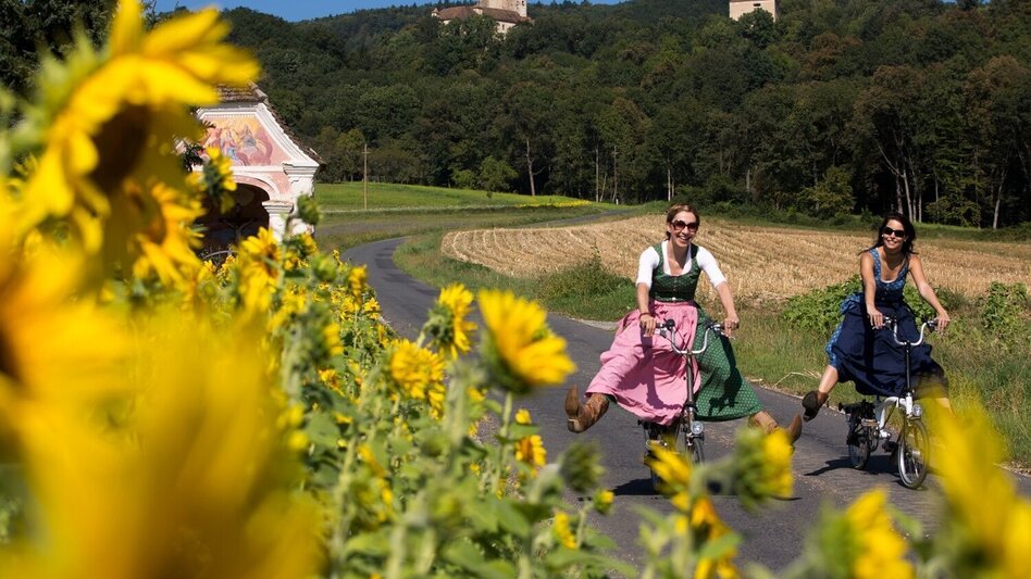 Cycling E-bike pleasure tour through Eastern Styria - Touren-Impression #2.1 | © Oststeiermark Tourismus
