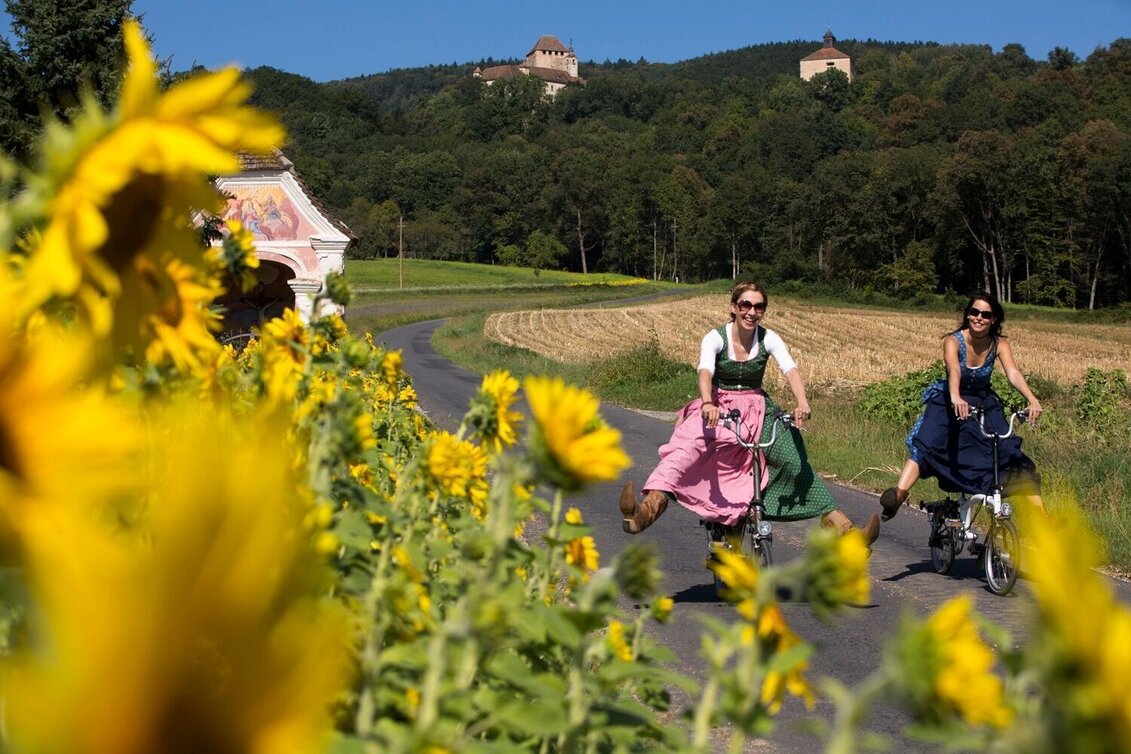 Cycling E-bike pleasure tour through Eastern Styria - Touren-Impression #1 | © Oststeiermark Tourismus