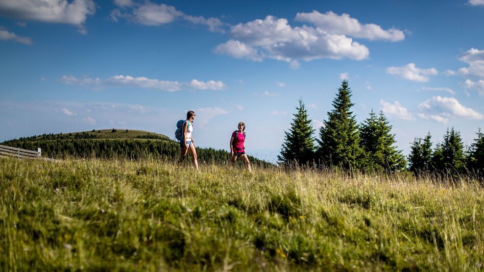Hiking Route Tanzstattkapelle - Touren-Impression #2.4 | © Tourismusverband Murau