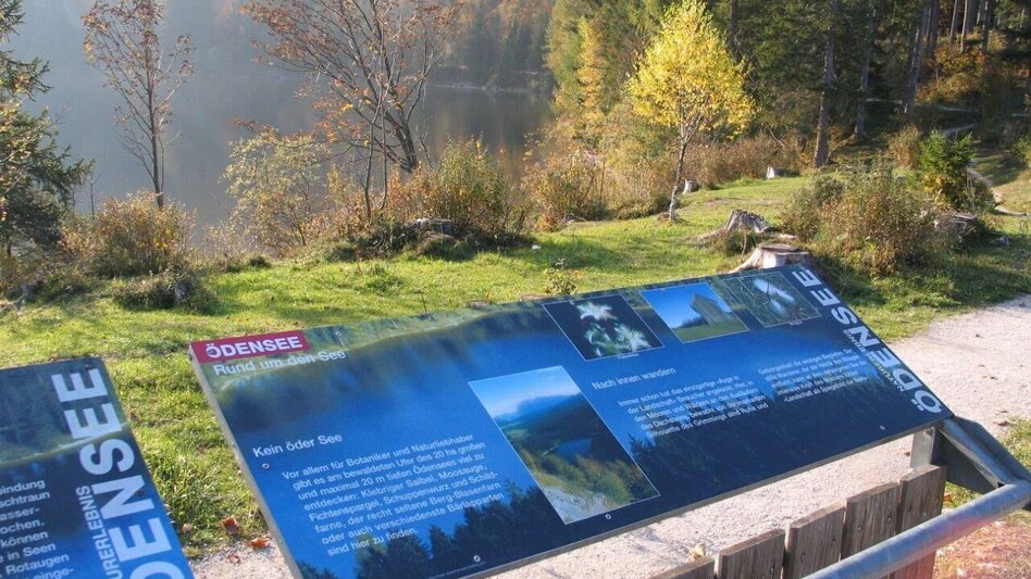 Wanderung Naturerlebnis Ödensee - Touren-Impression #2.1 | © Ausseerland