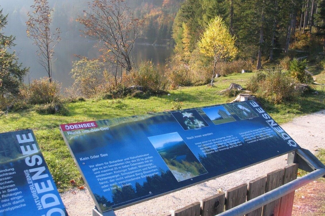 Wanderung Naturerlebnis Ödensee - Touren-Impression #1 | © Ausseerland