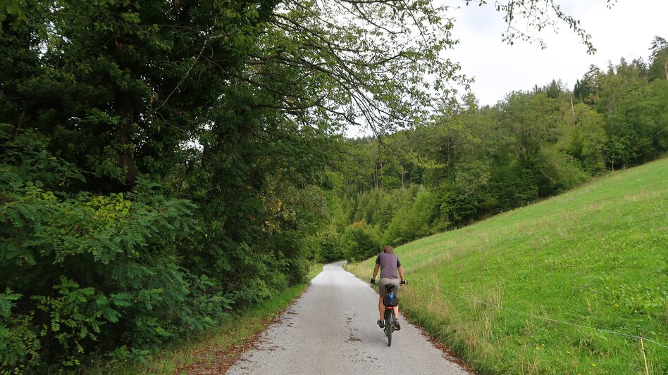 Cycling Stud Farm Tour 744 - Touren-Impression #2.6 | © Region Graz