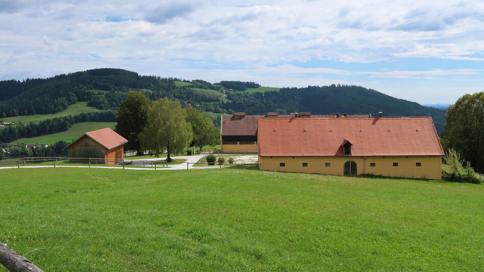 Cycling Stud Farm Tour 744 - Touren-Impression #2.8 | © Region Graz