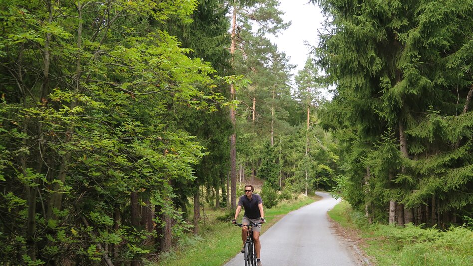 Cycling Stud Farm Tour 744 - Touren-Impression #2.9 | © Region Graz