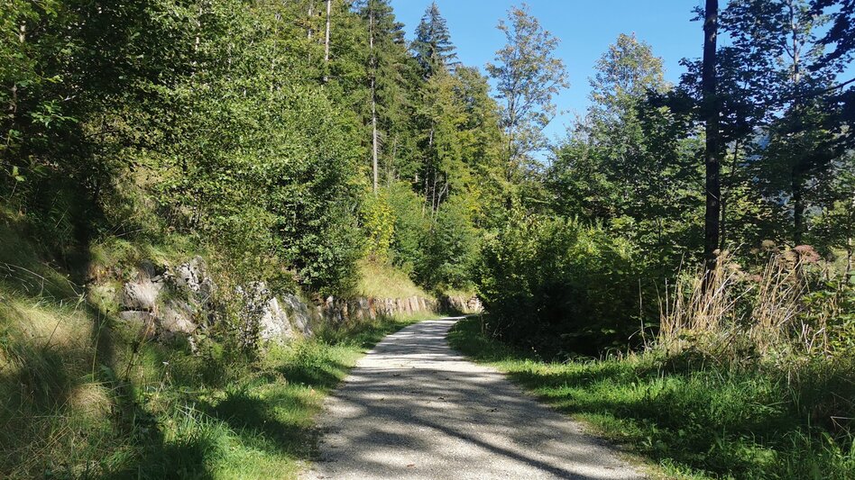 Hiking Route Stroller Tour: R. Eybner Promenade to Grundlsee - Touren-Impression #2.8 | © Ausseerland