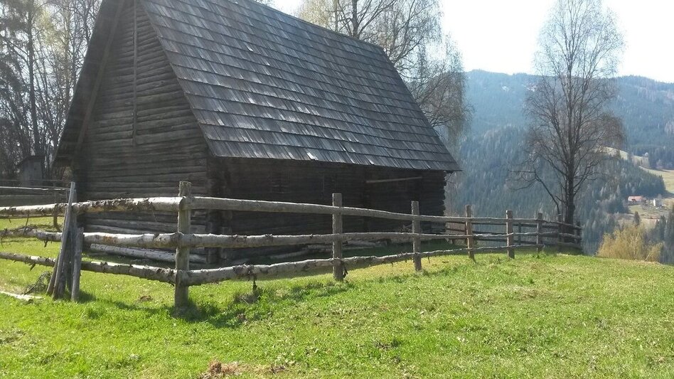 Wanderung Noreia Rundwanderweg - Touren-Impression #2.2 | © Tourismusverband Murau