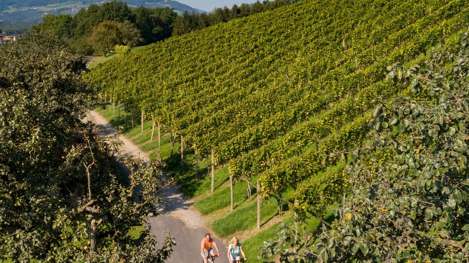 Panoramic Tours/Themed Routes Eastern Styrian Roman Wine Route - Touren-Impression #2.3 | © Oststeiermark Tourismus