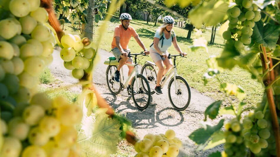 Panoramic Tours/Themed Routes Eastern Styrian Roman Wine Route - Touren-Impression #2.6 | © Oststeiermark Tourismus