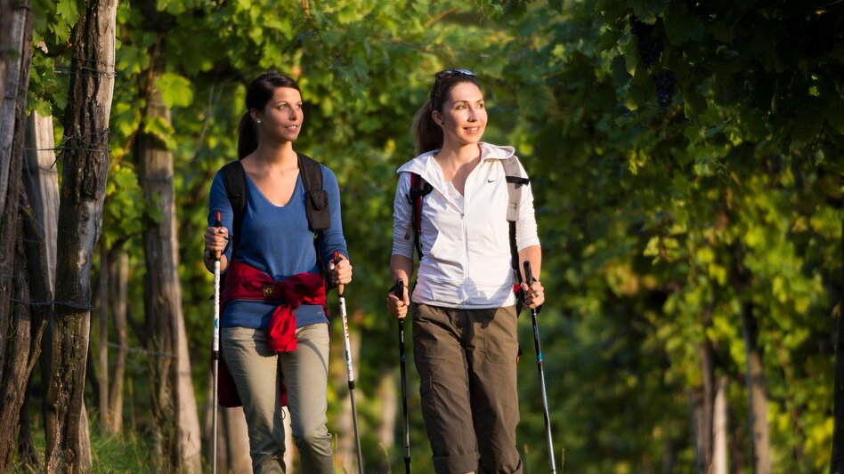 Panoramic Tours/Themed Routes Eastern Styrian Roman Wine Route - Touren-Impression #2.4 | © Oststeiermark Tourismus