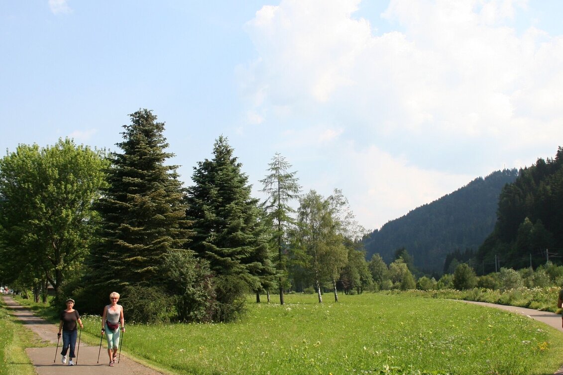 Hiking Route Wildbad Einöd circular hike - Touren-Impression #1 | © Tourismusverband Murau