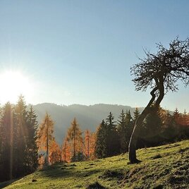 Schlapfkogel | © Erlebnisregion Murtal