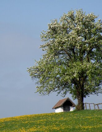 ochsenhimmel-herzogberg_img_23259094 | Lackner | © TV Hochsteiermark