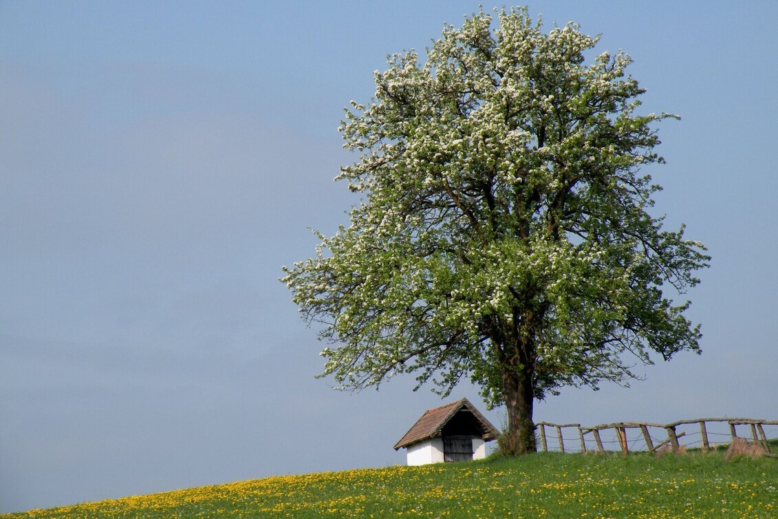 Hiking Route Kienegger Loop - Touren-Impression #1 | © TV Hochsteiermark
