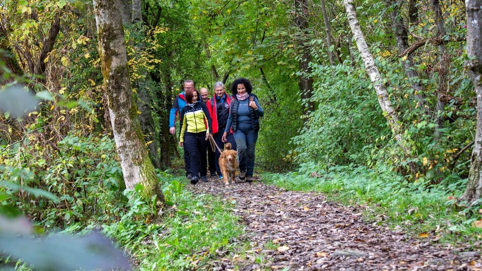 Wanderung Schwanenweg - Touren-Impression #2.2 | © TV Hochsteiermark