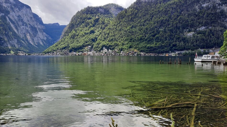 Hiking Route BergeSeen Trail 16: Hallstatt - Bad Aussee - Touren-Impression #2.7 | © Salzkammergut_SiegfriedZink