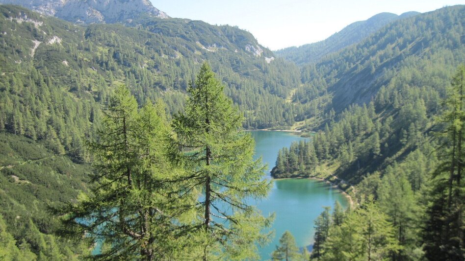 Wanderung BergeSeen Trail 18: Bad Mitterndorf - Tauplitzalm - Touren-Impression #2.3 | © Salzkammergut - BergeSeen