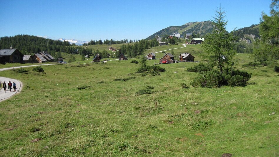 Wanderung BergeSeen Trail 18: Bad Mitterndorf - Tauplitzalm - Touren-Impression #2.4 | © Salzkammergut - BergeSeen