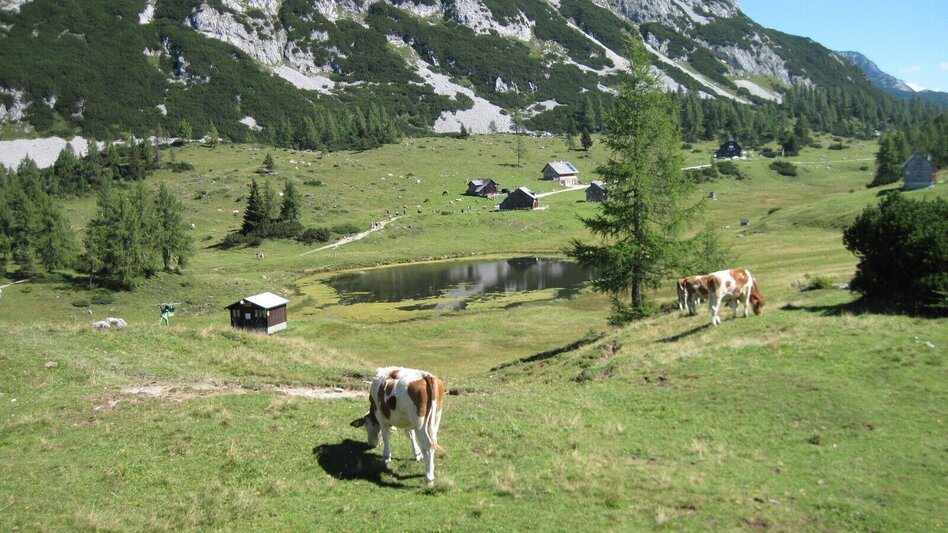 Wanderung BergeSeen Trail 18: Bad Mitterndorf - Tauplitzalm - Touren-Impression #2.5 | © Salzkammergut - BergeSeen