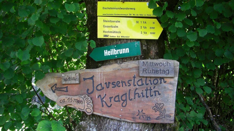 Hiking Route BergeSeen Trail 17: Bad Aussee - Bad Mitterndorf - Touren-Impression #2.5 | © Salzkammergut - BergeSeen