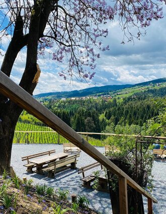 Gundersdorf Florlwirt SB Station Aussicht | TV Südsteiermark | © TV Südsteiermark