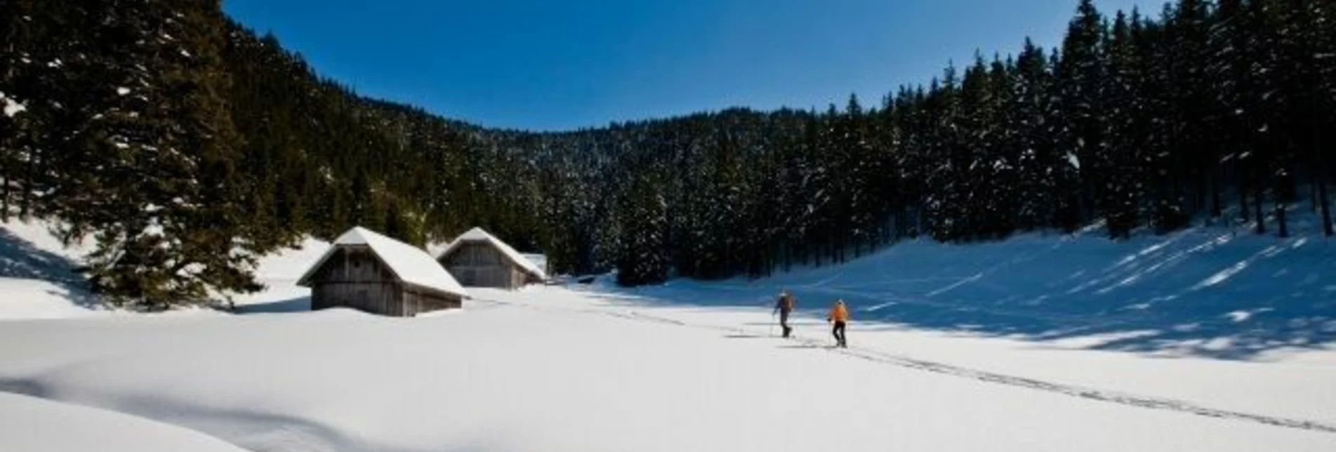 Ski Touring Pfaffensattel – Alois-Günther-Haus - Touren-Impression #1 | © TV Hochsteiermark