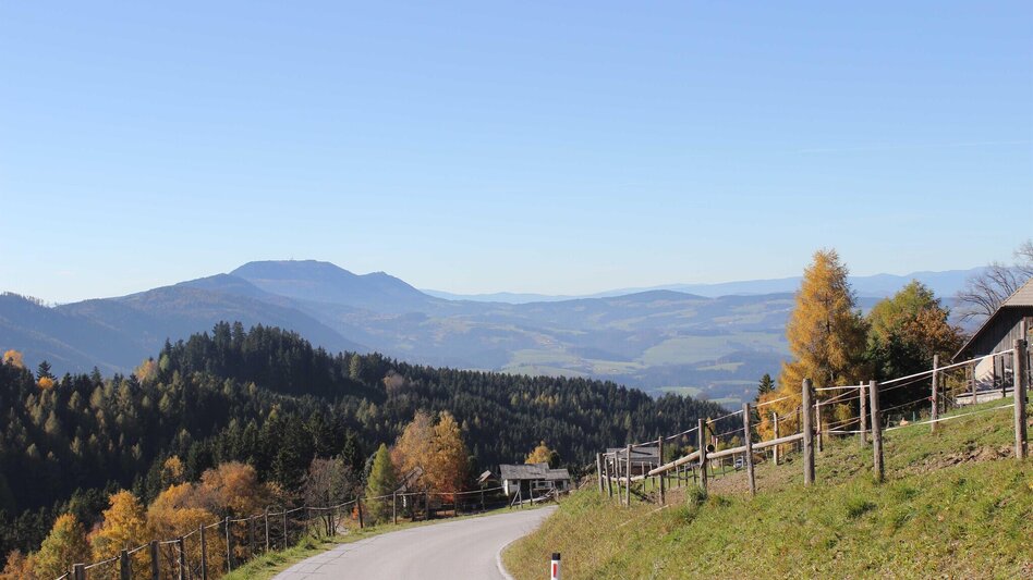 Wanderung St. Kathrein am Offenegg über Schwarzwald - Touren-Impression #2.3 | © Oststeiermark Tourismus