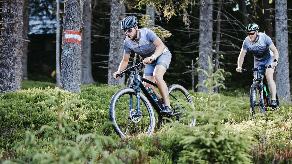 Mountain Biking Soboth Erlebnistour - Touren-Impression #2.2 | © Südsteiermark