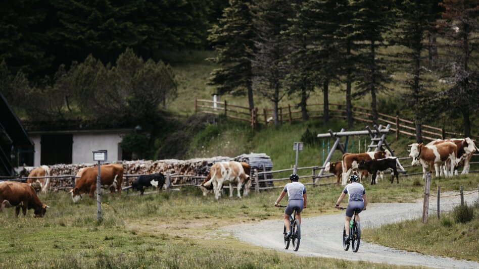 Mountain Biking Soboth Erlebnistour - Touren-Impression #2.1 | © Südsteiermark