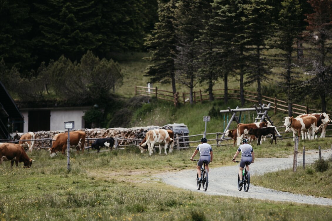 Mountain Biking Soboth Erlebnistour - Touren-Impression #1 | © Südsteiermark