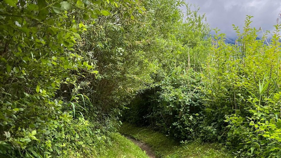 Hiking Route Big Enns round - Touren-Impression #2.13 | © Erlebnisregion Schladming-Dachstein