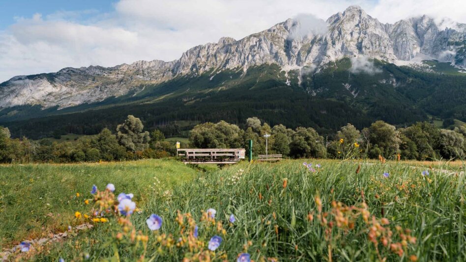 Hiking Route Big Enns round - Touren-Impression #2.9 | © Tourismusverband Schladming-Dachstein