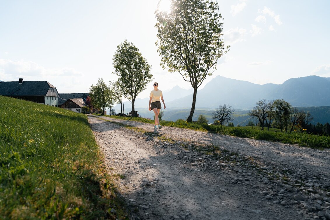 Hiking Route Circular hiking trail Öblarn-Niederöblarn - Touren-Impression #1 | © Christoph Lukas