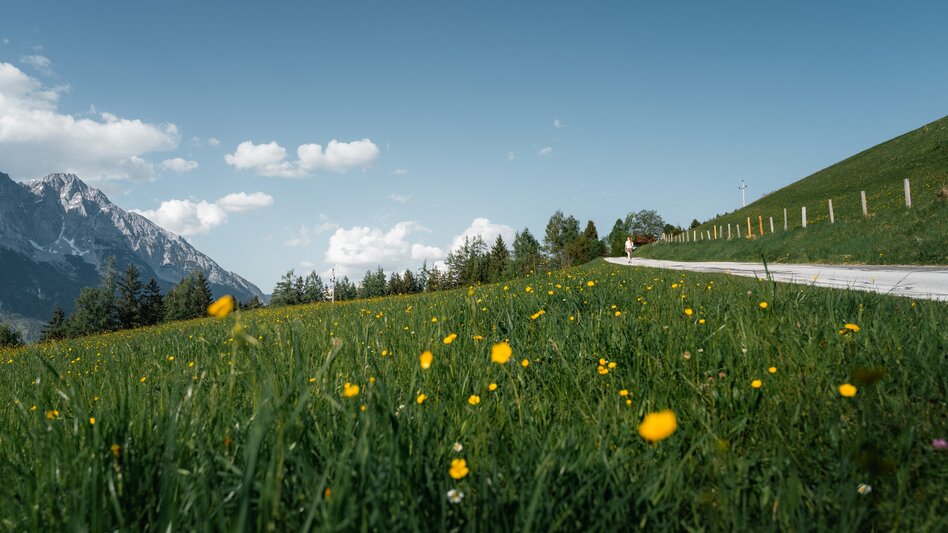 Hiking Route Circular hiking trail Öblarn-Niederöblarn - Touren-Impression #2.11 | © Christoph Lukas