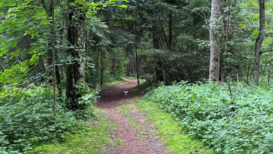 Hiking Route Small Enns round - Touren-Impression #2.7 | © Erlebnisregion Schladming-Dachstein