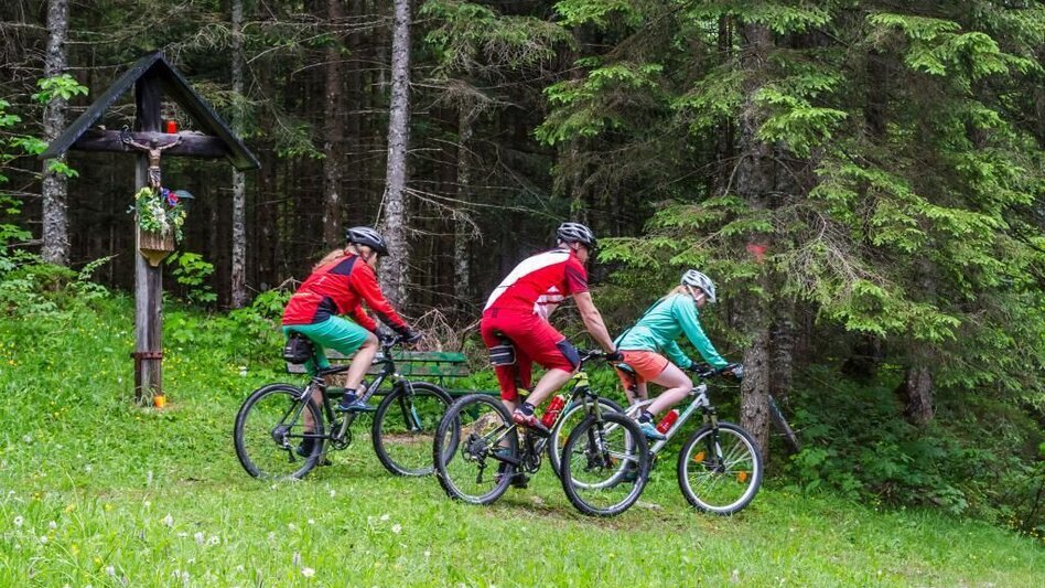 Mountainbike Eibenberg Runde | SW 11 - Touren-Impression #2.4 | © SSW/Coen Weesjes